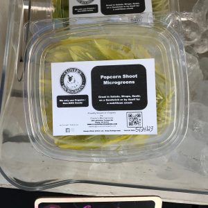 Corn Shoots