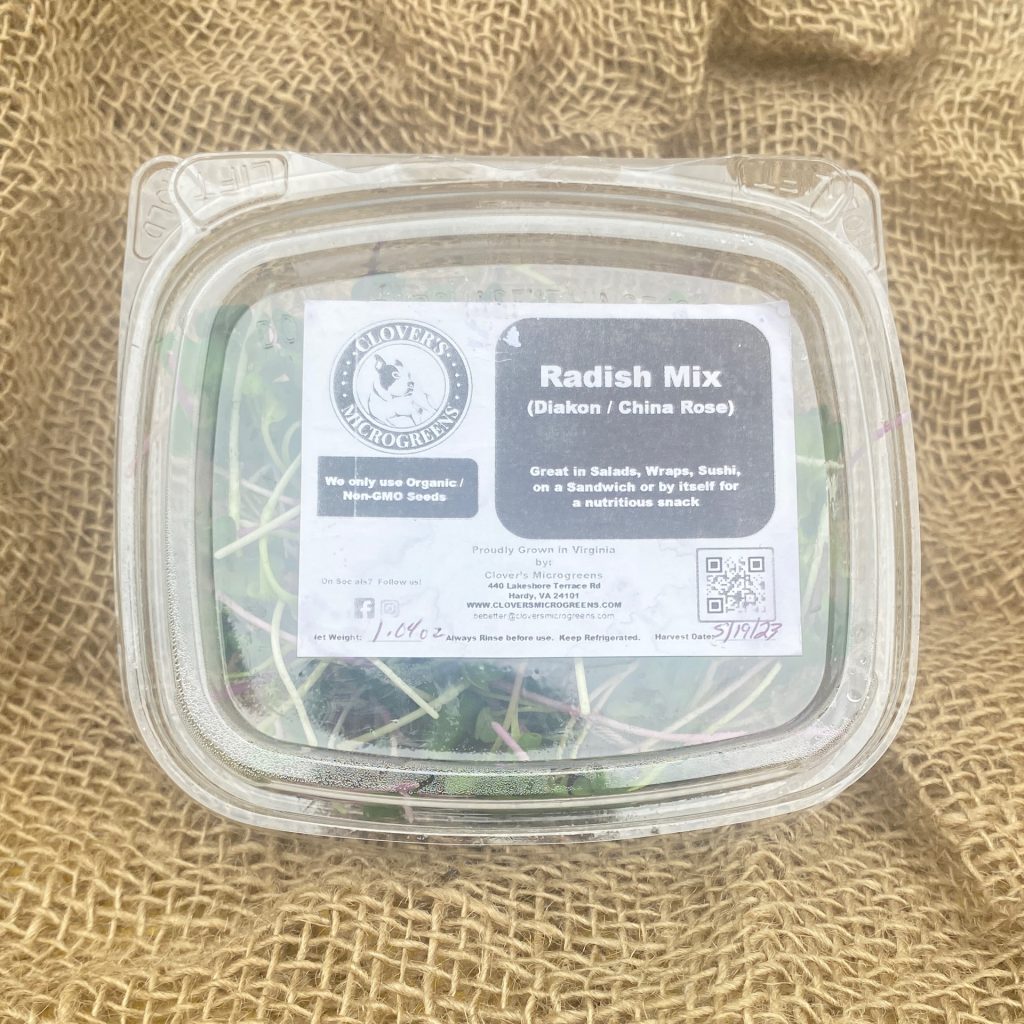 China Rose Radish