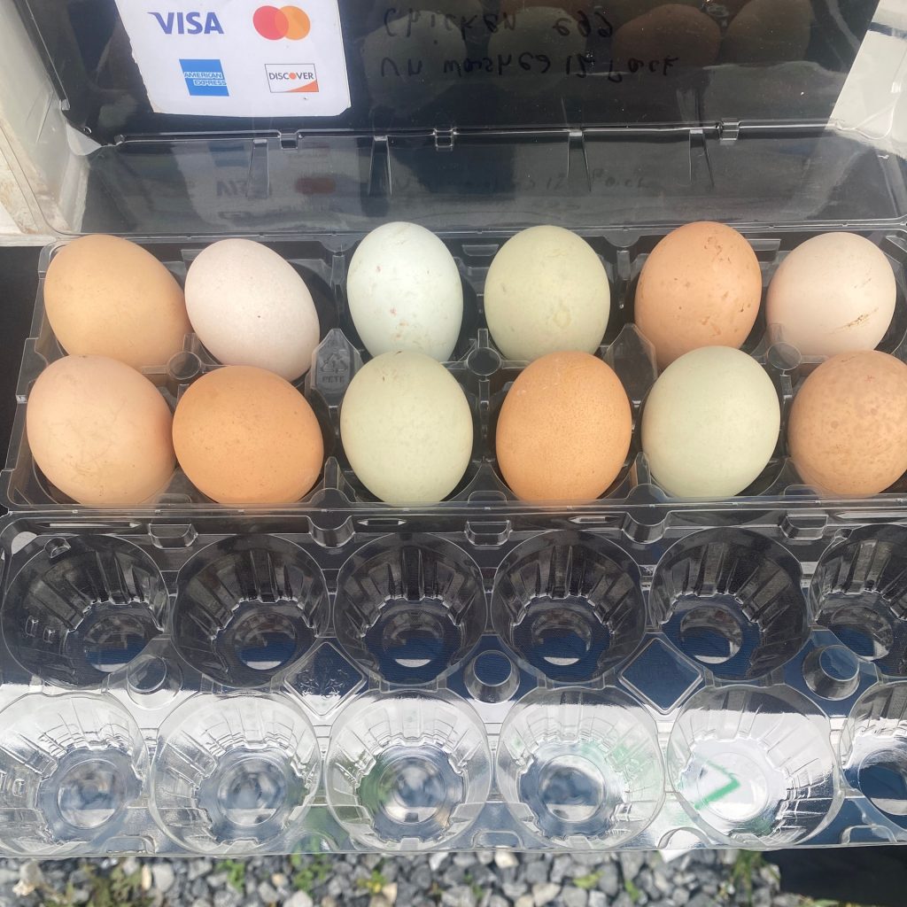 Fresh Eggs